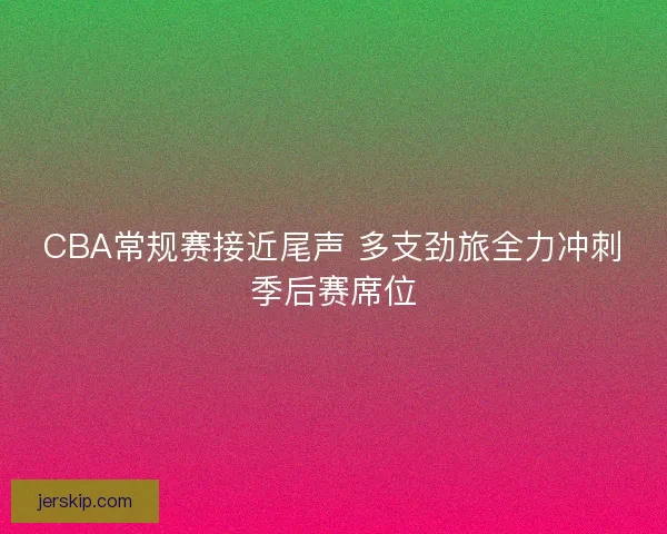 CBA常规赛接近尾声 多支劲旅全力冲刺季后赛席位